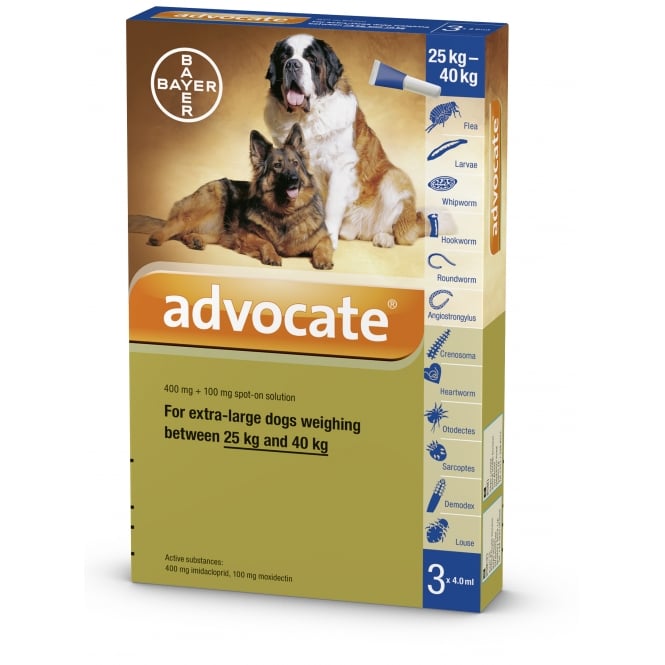 Advocate 400 XL Dog